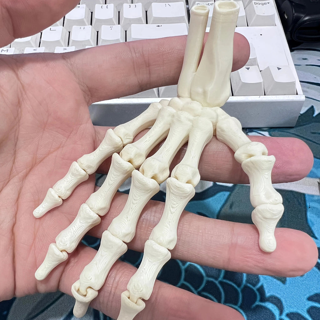 Scary Skull Skeleton Hands | Halloween Party Props & Haunted House Decoration