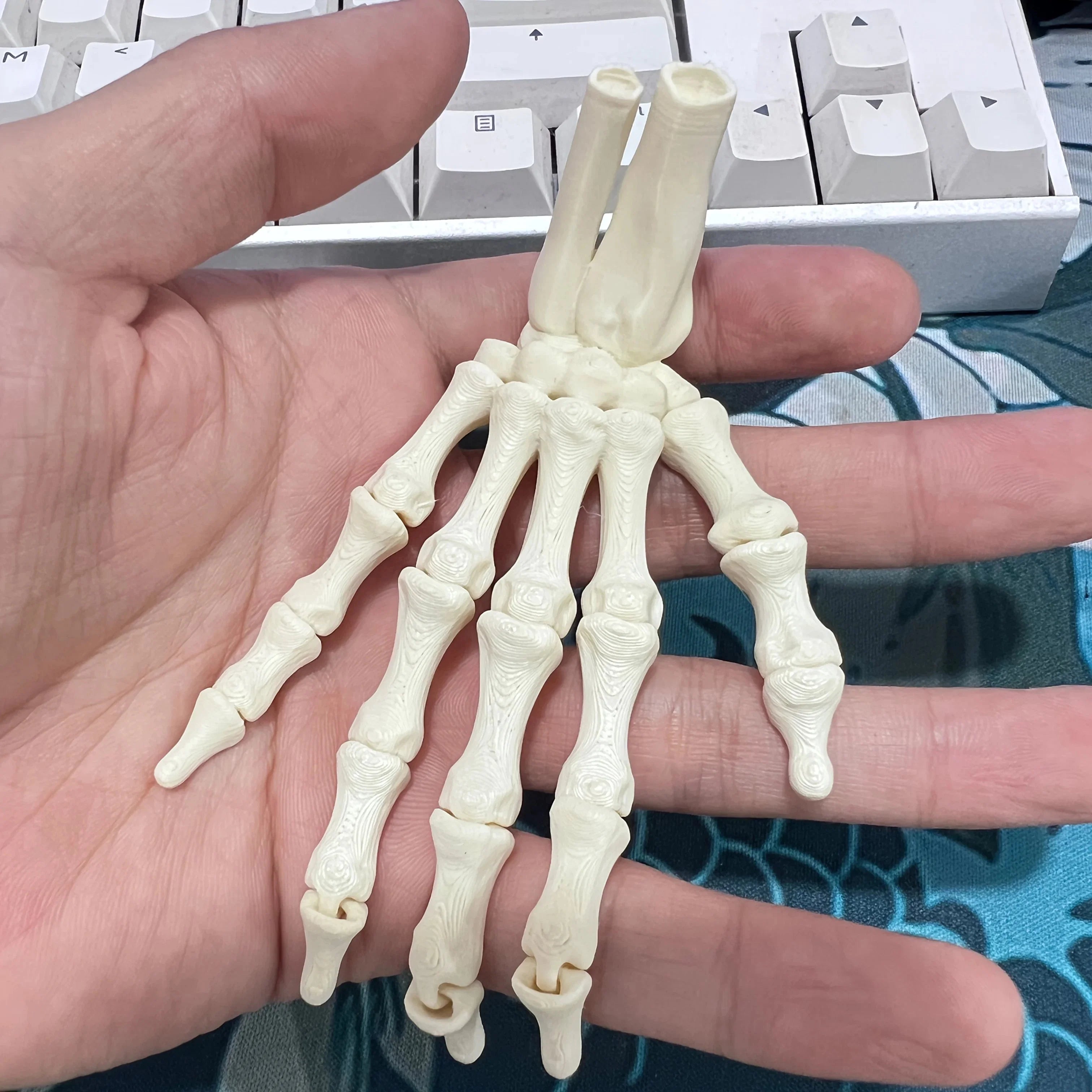 Scary Skull Skeleton Hands | Halloween Party Props & Haunted House Decoration