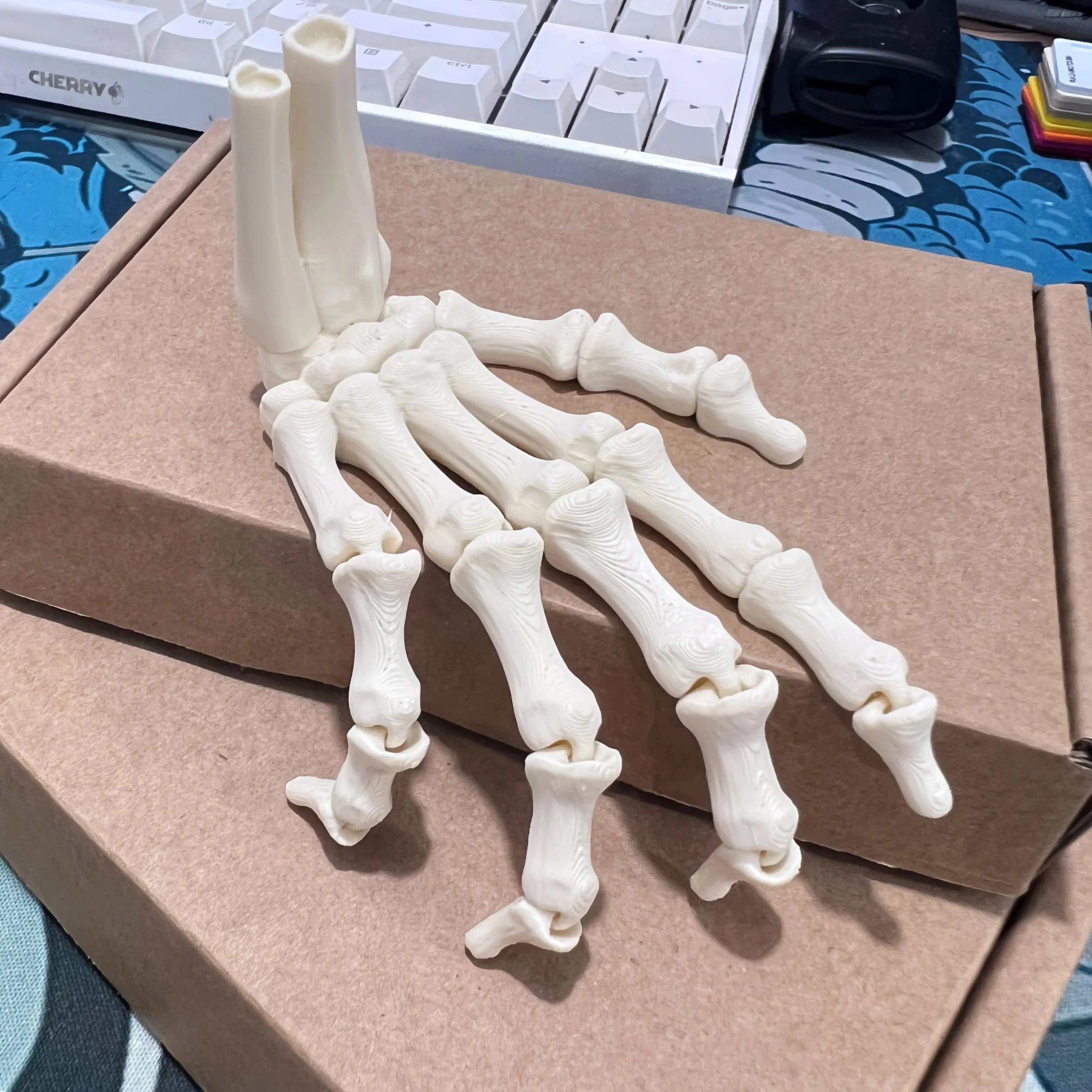 Scary Skull Skeleton Hands | Halloween Party Props & Haunted House Decoration